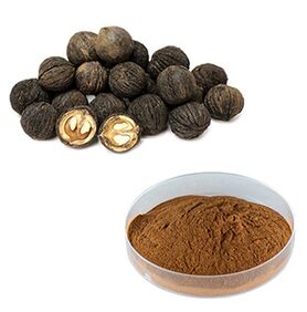 Nogal negro en el tóxico